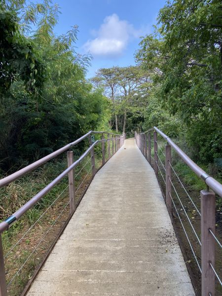 Footpath Construction in Cedar Rapids