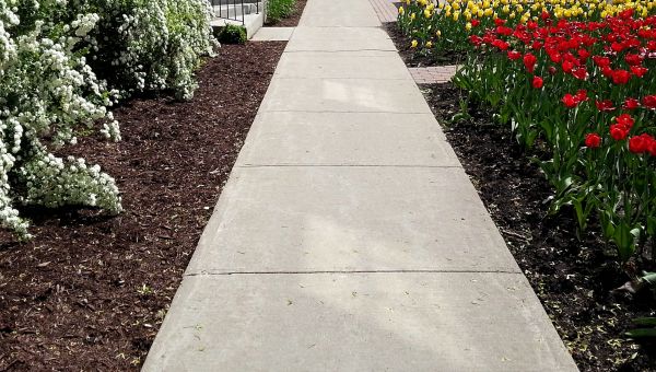 Cement Sidewalk Installation in Cedar Rapids