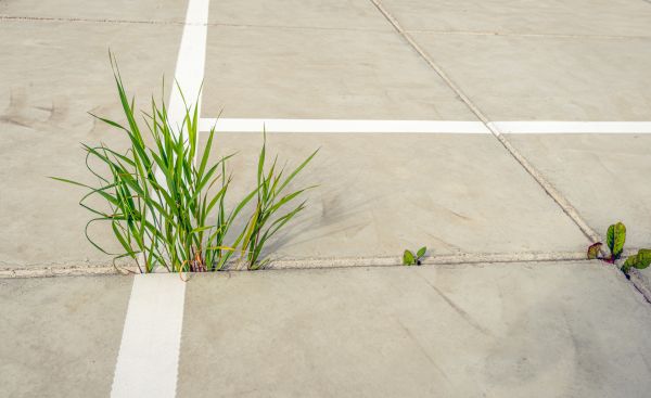 Concrete Parking Installation in Cedar Rapids