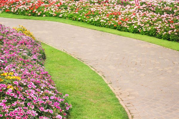 Concrete Walkway Service in Cedar Rapids